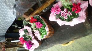 シクラメン|「花升園」　（宮城県柴田郡柴田町の花屋）のブログ